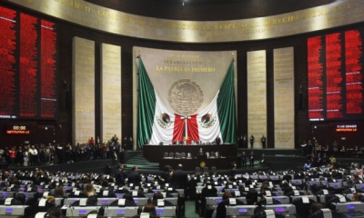 Conoce a los candidatos a una diputaci&oacute;n federal