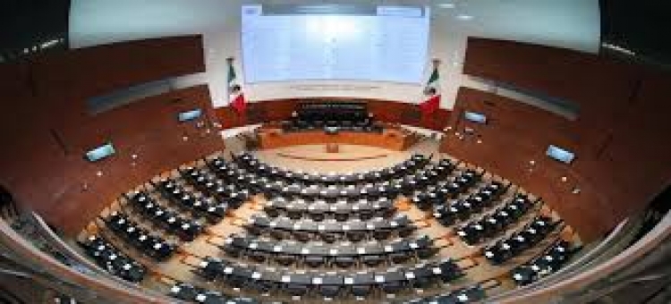 Morena revela qui&eacute;nes son los 4 candidatos a presidir el Senado