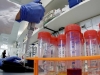 Cuba presume el &lsquo;Interfer&oacute;n alfa 2B&rsquo; medicamento eficaz en tratamiento para el coronavirus