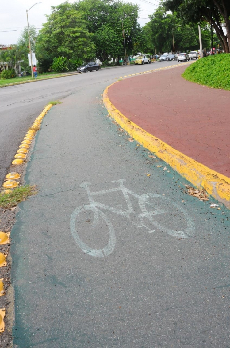 Caos vial en la ciudad podr&iacute;a disminuir con alternativas de transporte seguro