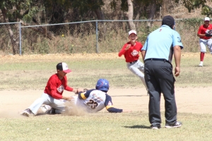 Hoy se disputar&aacute;n las semifinales del Torneo Carl Ripken Jr., en la Higuerita