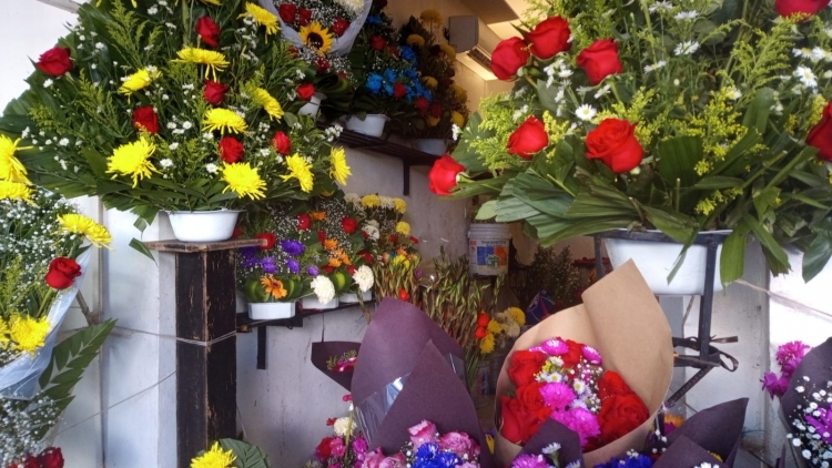 Ventas del 80 por ciento esperan floristas con clases presenciales y D&iacute;a de Muertos