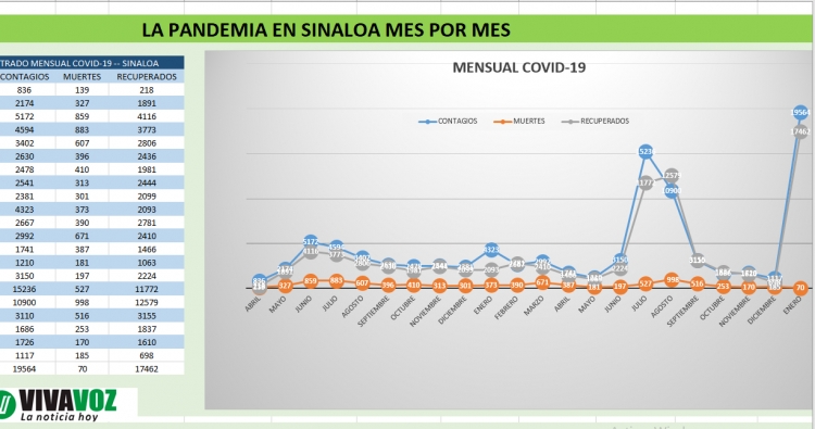 &Oacute;micron en lo m&aacute;s alto de la curva de contagios: Salud Sinaloa