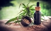 Aprueban ley federal para la regulaci&oacute;n del cannabis