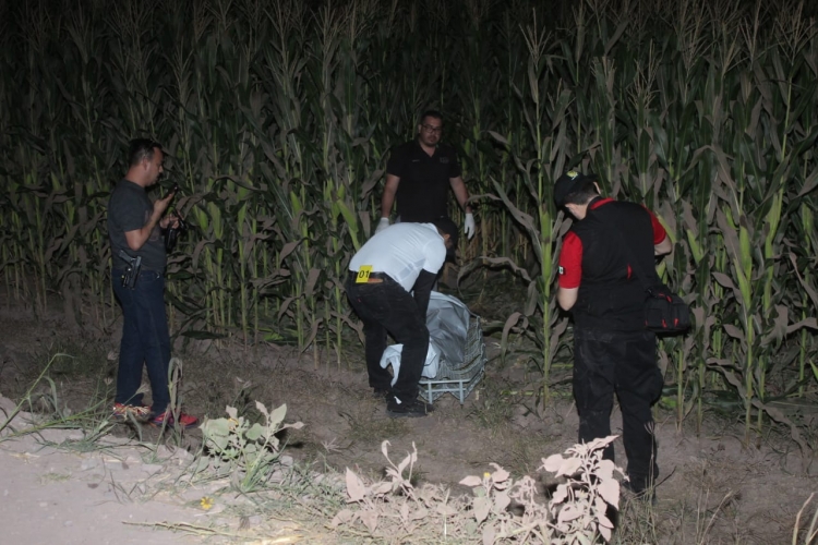 Encuentran a hombre semicarbonizado en Estaci&oacute;n Rosales