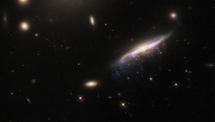 NASA captura a inmensa 'medusa gal&aacute;ctica' que est&aacute; a 800 millones de a&ntilde;os luz de distancia