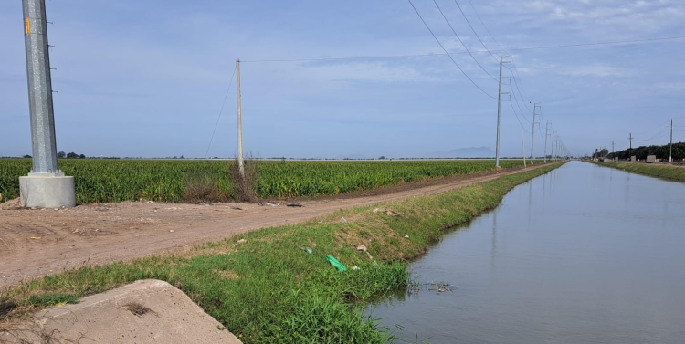 Matan a balazos a una mujer en Navolato; hallan el cad&aacute;ver en el borde de un canal de riego en Villa Benito Ju&aacute;rez
