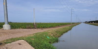 Matan a balazos a una mujer en Navolato; hallan el cad&aacute;ver en el borde de un canal de riego en Villa Benito Ju&aacute;rez
