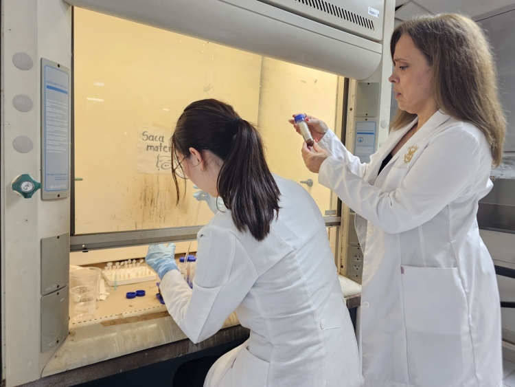 Investigadores de la UAS obtienen patente nacional del IMPI para desarrollo biotecnol&oacute;gico a base de Amaranto