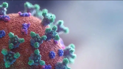 Detectan nueva mutaci&oacute;n del coronavirus que es 10 veces m&aacute;s contagioso