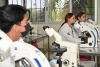 Avanza la UAS con paso firme en investigaci&oacute;n y generaci&oacute;n de conocimiento