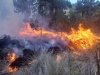 Arde el Pico de Orizaba: un sorprendente incendio ha consumido m&aacute;s de 50 hect&aacute;reas en 30 horas