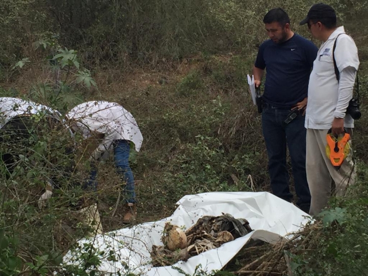 Encuentran esqueleto en un monte al Sur de la Ciudad