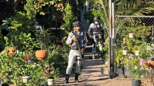 Asesinan a un hombre joven en un vivero en Navolato