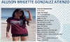 &iexcl;Ayuda a localizar a Allison Brigette!