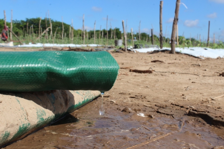 128 mil familias sin agua por la sequ&iacute;a en Sinaloa