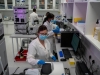 Vacuna contra variante Omicron podr&iacute;a crearse "muy r&aacute;pido": Oxford