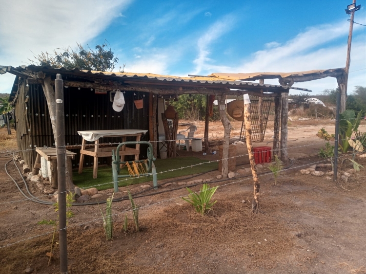 Invasores del Valle del Agua piden a los due&ntilde;os les vendan los terrenos