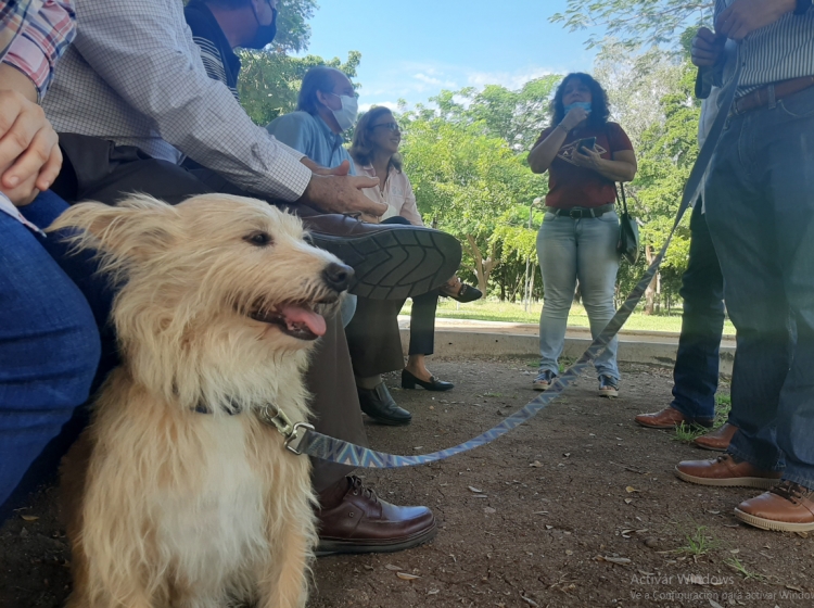 Desairan ambientalistas a Quirino; ven remoto llegar a un acuerdo sobre el Proyecto Sendero