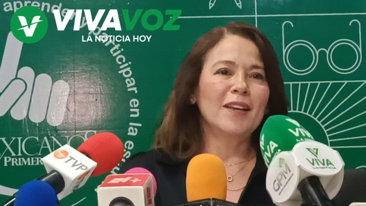 72 menores fueron asesinados en el &uacute;ltimo a&ntilde;o por violencia: Mexicanos Primero