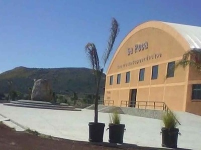Arrojan artefacto durante palenque en Hidalgo; no hizo explosi&oacute;n