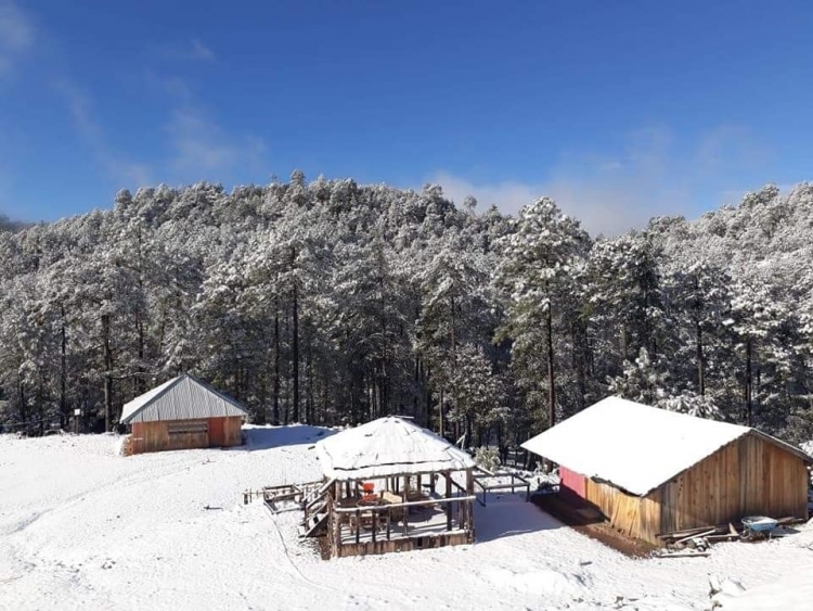 &iexcl;Nieve cubre de blanco Santa Gertrudis, Badiraguato!