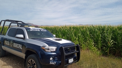 Se desploma una avioneta en maizal, en Emiliano Zapata, al sur de Culiac&aacute;n