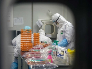 En estudios del coronavirus logran identificar la existencia de dos tipos de Covid-19