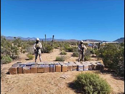 Sedena asegura aeronave con m&aacute;s de 500 kilos de diversas drogas