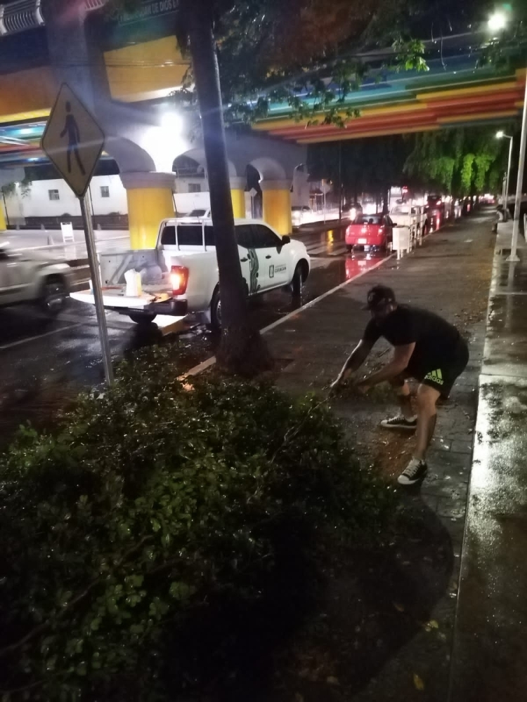 Apagones, Olas de 2m en Ponce y &aacute;rboles ca&iacute;dos son las afectaciones por las lluvias en Culiac&aacute;n
