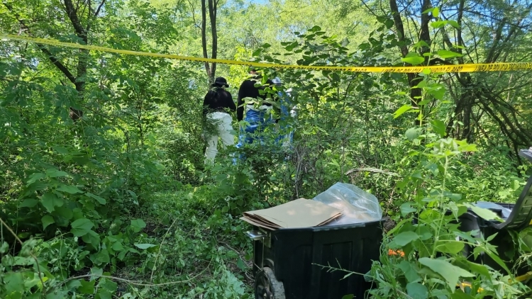 Descubren osamenta a un lado de La Primavera, en Culiac&aacute;n