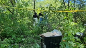 Descubren osamenta a un lado de La Primavera, en Culiac&aacute;n