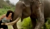 Pelean por una fruta: un elefante empuja y aplasta a una mujer que se burla de &eacute;l