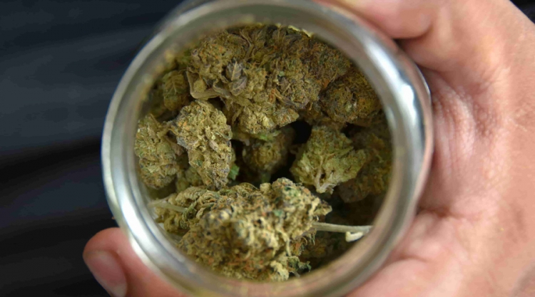 dictamen a la minuta que expide la Ley Federal para la Regulaci&oacute;n del Cannabis