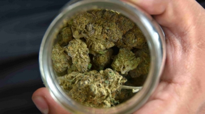dictamen a la minuta que expide la Ley Federal para la Regulaci&oacute;n del Cannabis