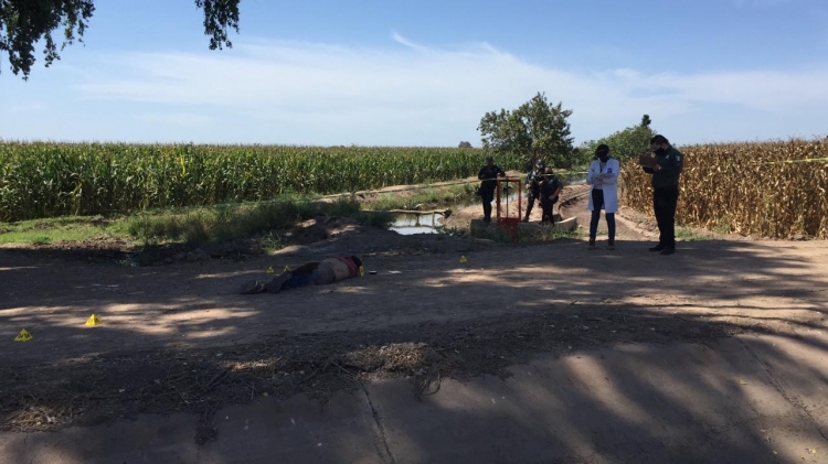 Ejecutan a un individuo en unas parcelas de ma&iacute;z, cerca de la autopista Benito Ju&aacute;rez, en Navolato
