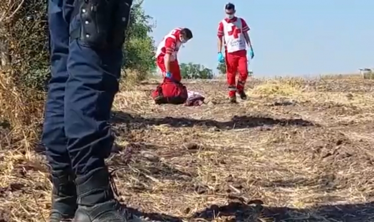 Hallan asesinado a un hombre en una parcela de Salvador Alvarado
