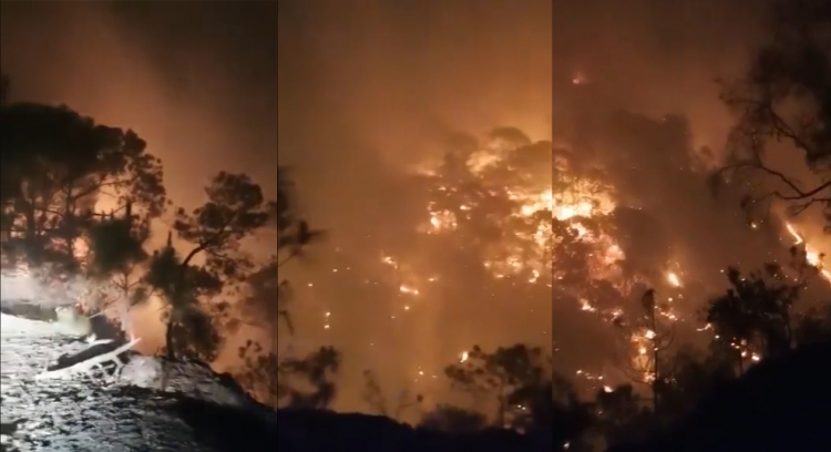 Evac&uacute;an a familias de Loberas, Concordia por incendio forestal