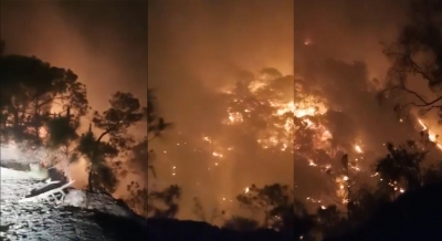 Evac&uacute;an a familias de Loberas, Concordia por incendio forestal