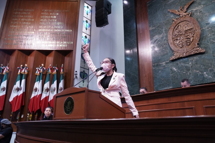 Duele el hambre y pobreza de los ni&ntilde;os de la calle, aseguraron diputados infantiles