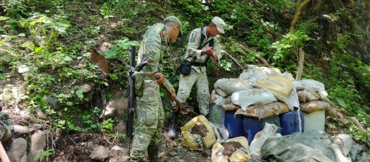 Desmantela el Ej&eacute;rcito otros dos narcolaboratorios en Sinaloa