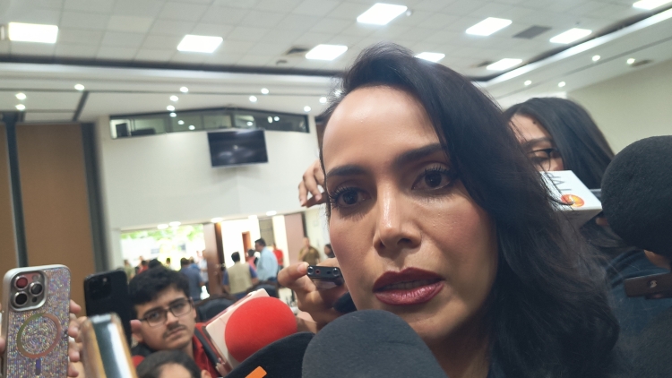 Piden eliminar el "rochismo" en Sinaloa; nuevo gobernador debe estar deslindado del grupo en el poder: Diputada Irma Moreno&nbsp;