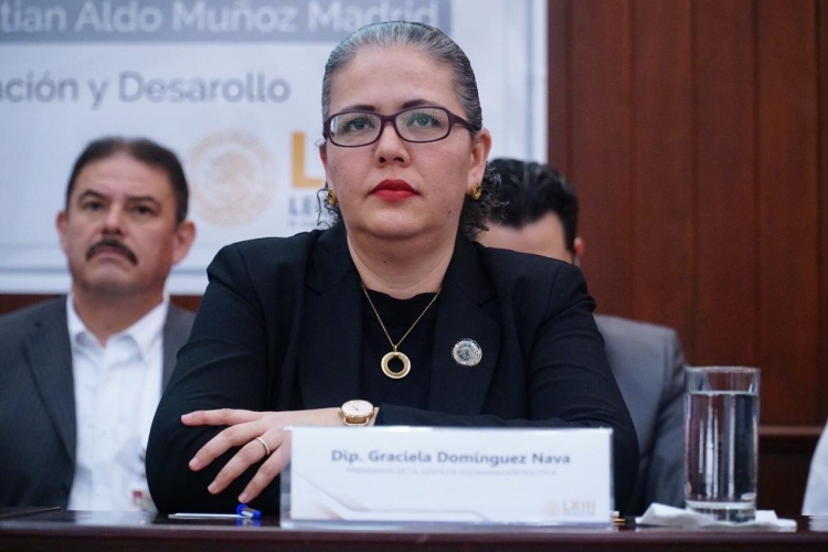 Hasta el 2 de junio reanuda sesiones el Congreso del Estado: Dom&iacute;nguez Nava