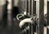 Lo meten a la c&aacute;rcel por abusar sexualmente de dos sobrinas