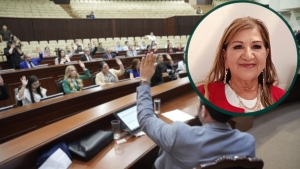 No regresar&eacute; al Congreso, analizo mi futuro pol&iacute;tico: Tere Guerra
