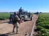 RESUMEN: 8 personas asesinadas y 12 autos robados en Sinaloa, el saldo rojo del 5 de Febrero 2025
