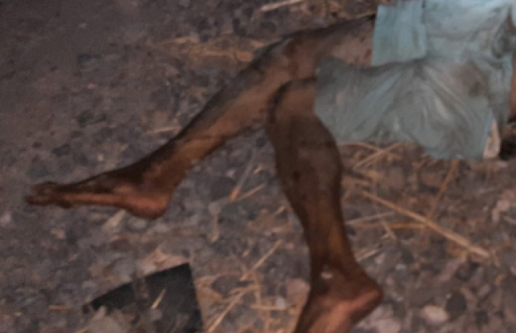 Abandonan el cuerpo de un hombre asesinado en Baila, Culiac&aacute;n