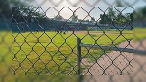 Varios sujetos armados se llevan a la fuerza a un individuo al salir de los campos de beisbol del Sector Country Club, en Culiac&aacute;n