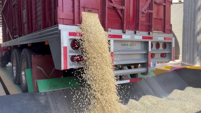 Urge defender la tortilla y la soberan&iacute;a alimentaria nacional: Unidad Campesina