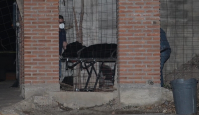 Asesinan a presunto velador en obra de construcci&oacute;n